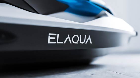 Elaqua PWC A1000