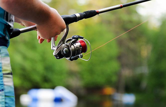 Walmart Fishing License: Questions and Answers (With Tips) - Top Boat Mag